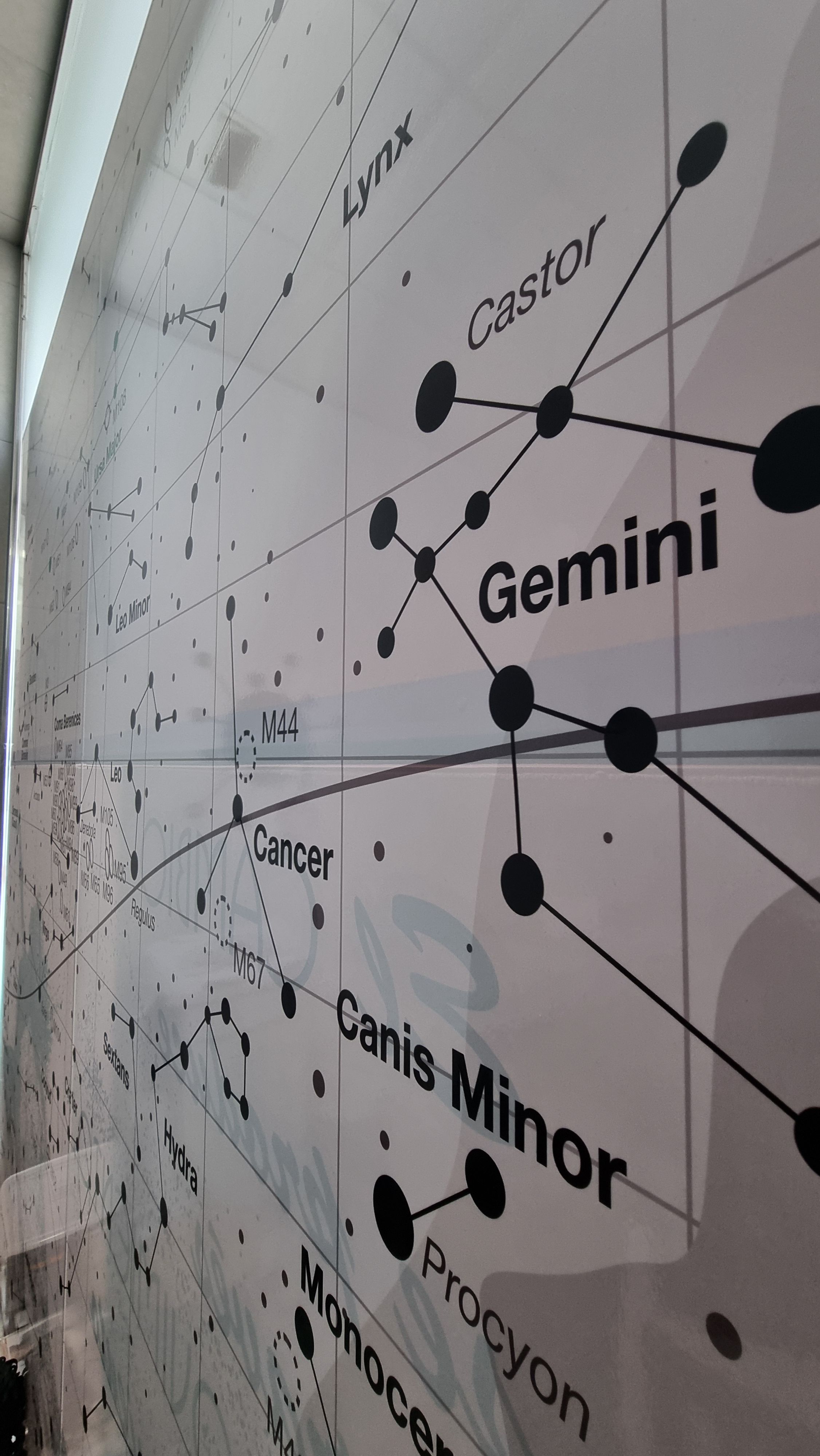 Noelia Fisiovida en Almendralejo