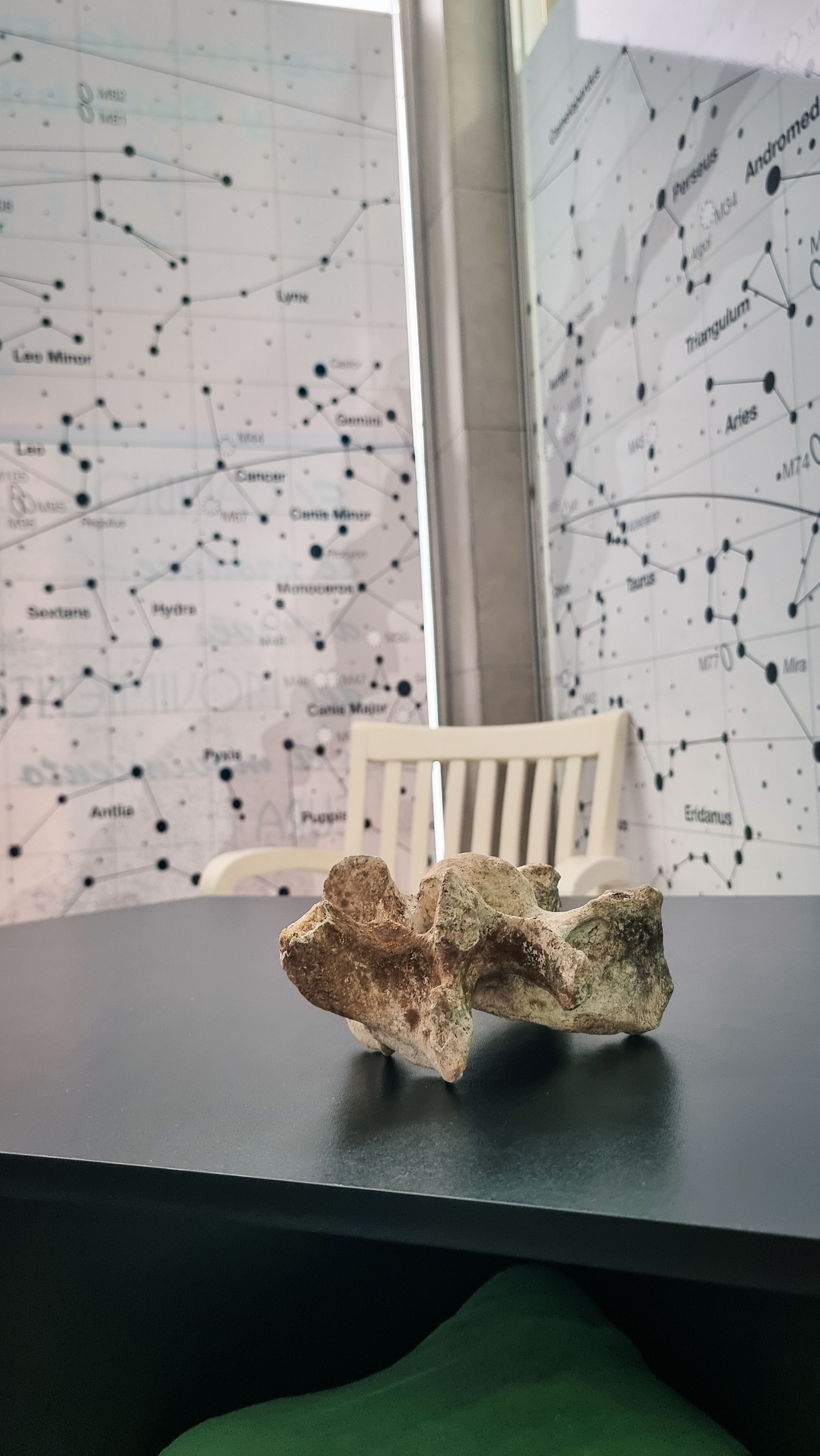 Noelia Fisiovida en Almendralejo